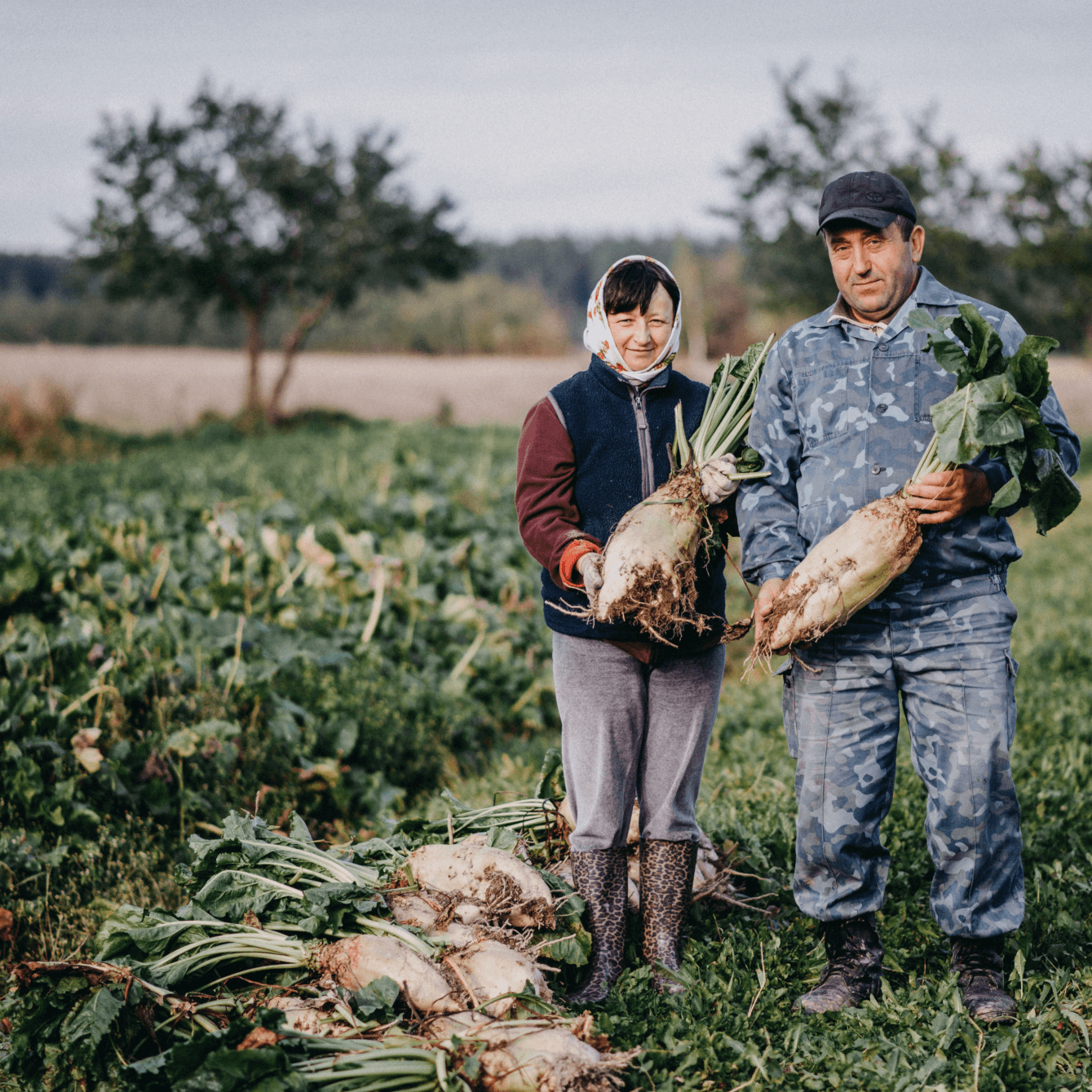 VV.C151.02.202101 – Apoio fiscal_02